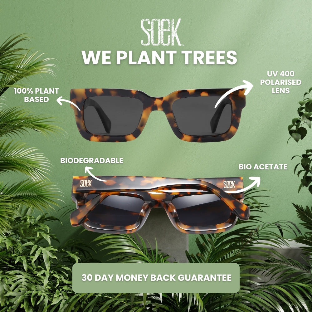 EDEN Indigo l 100% Plant Based Frame l Smoky Polarised Lens