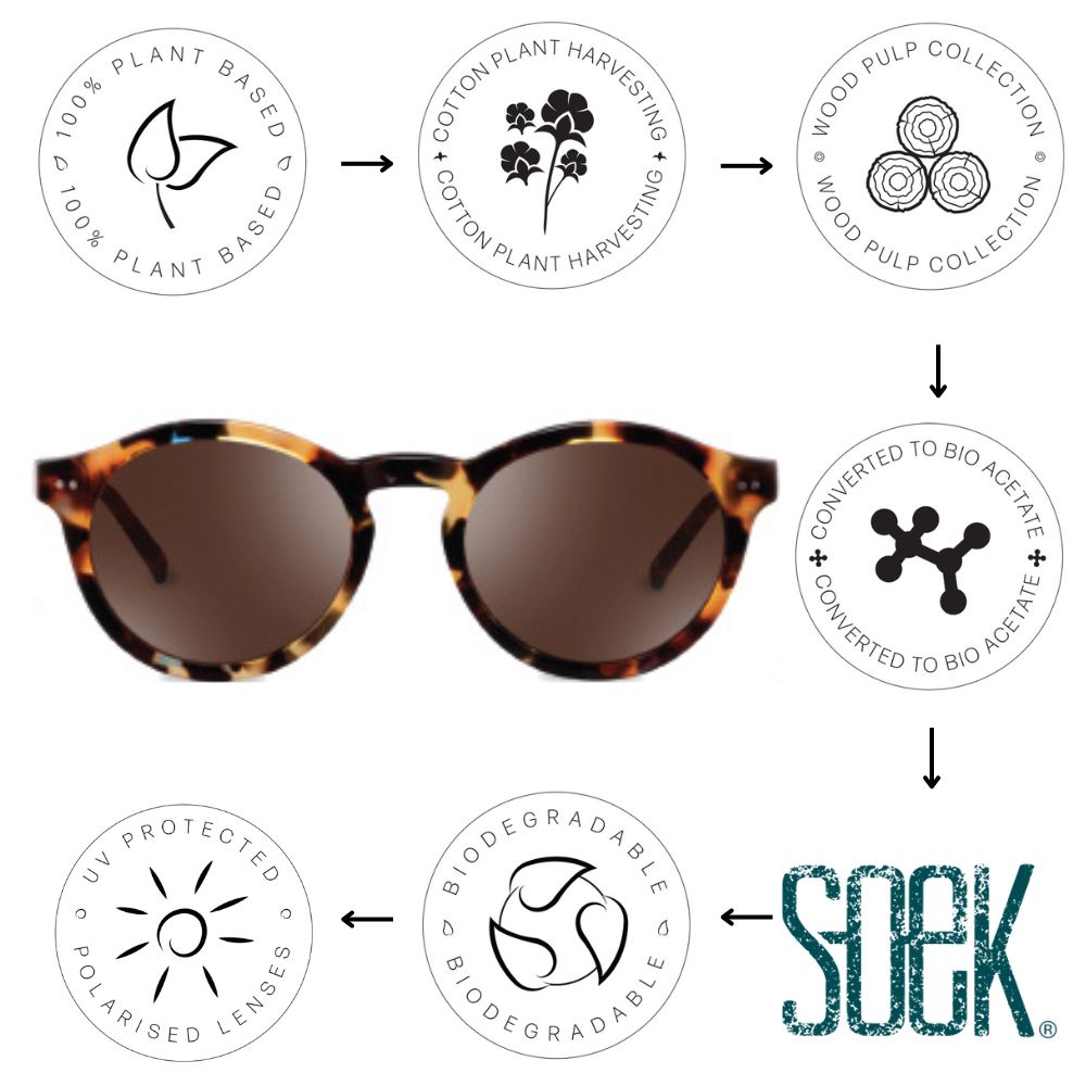 BEYOND SUNKISSED - Bio Acetate Tortoise Frame l Black Polarised Lens