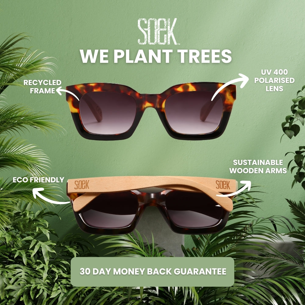 FLUTTER Storm l Sunglasses l Black Lens l White Maple Arms - Soek Fashion Eyewear UK
