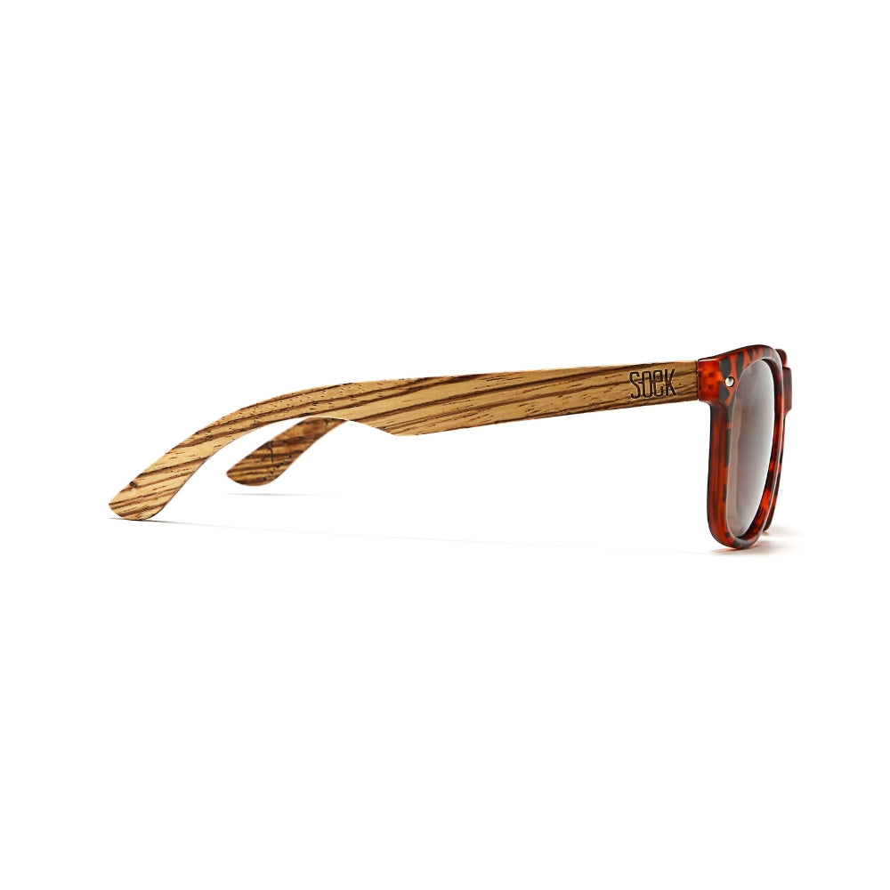 AVOCA WALNUT  Brown Lens l Walnut Arms - Soek Fashion Eyewear UK